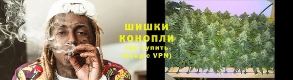 трава Заволжье