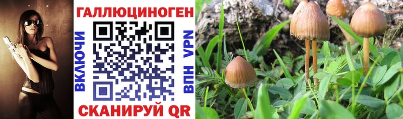 Купить  Ейск  Галлюциногенные грибы мухоморы 